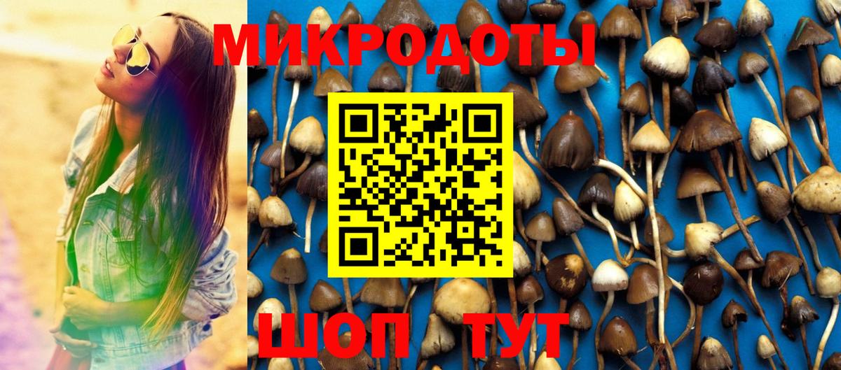 Псилоцибиновые грибы Cubensis  Вход с VPN  Тюмень 